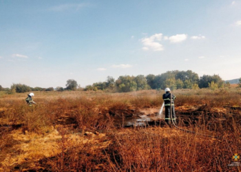На Тернопільщині горіли поклади торфу