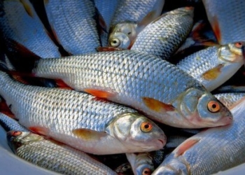 На тернопільському ринку провели масштабний рейд