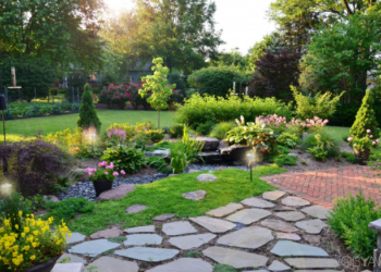 Ідеї як можна реалізувати: тернополяни можуть долучитися до озеленення міста