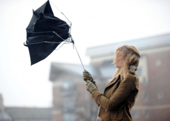 На Тернопільщині буревій наробив лиха: села без світла, дерева поваленні