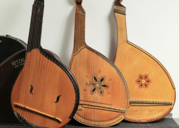 2020 рік на Тернопільщині проголосили Роком бандури