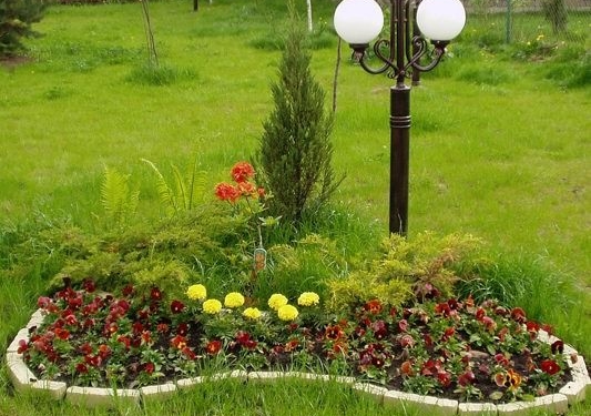 У Тернополі розпочинають еко-ініціативу «Я господар свого міста»