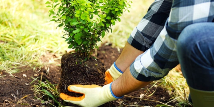 У Тернопільській міській територіальній громаді стартує двомісячник благоустрою