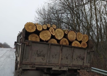 На Тернопільщині патрульні перевіряють автомобілі із деревиною