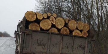 На Тернопільщині патрульні перевіряють автомобілі із деревиною