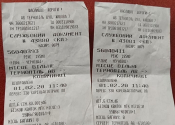 Тернопільські правоохоронці перевірятимуть дії водія, який висадив двох неповнолітніх дітей