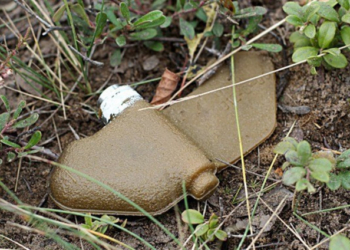 Відлуння війни: на Тернопільщині знайшли зброю