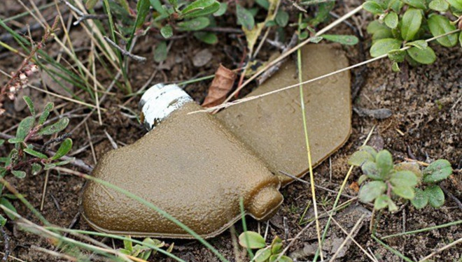 Відлуння війни: на Тернопільщині знайшли зброю