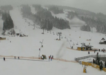 Карпати засипає сильним снігом (Фото)