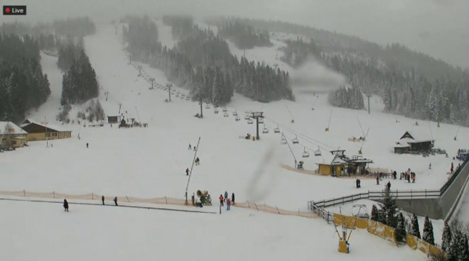 Карпати засипає сильним снігом (Фото)