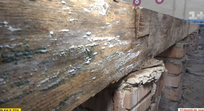 Скандал на Тернопільщині: хто винен у тому, що у шкільному спортзалі – грибок