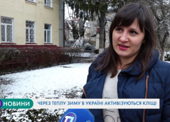 Через теплу зиму в Україні активізувалися кліщі, яка ситуація на Тернопільщині?