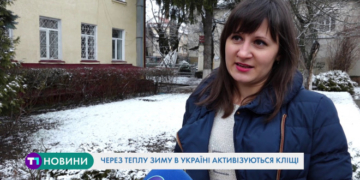 Через теплу зиму в Україні активізувалися кліщі, яка ситуація на Тернопільщині?