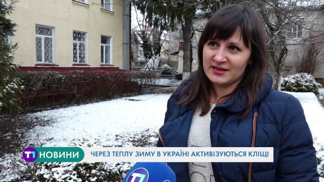 Через теплу зиму в Україні активізувалися кліщі, яка ситуація на Тернопільщині?