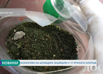 Неповнолітньому тернополянину загрожує до 3 років позбавлення волі за зберігання коноплі