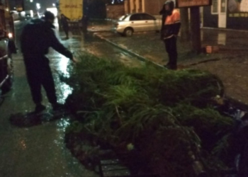 У Тернополі очистили територію від дерев’яних конструкцій та піддонів поблизу центрального ринку