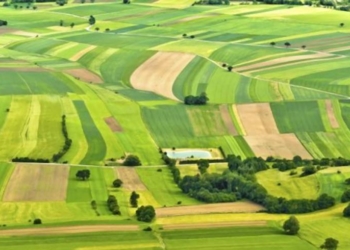 Земельна афера: житель сусідньої області отримав земельний пай на Тернопільщині