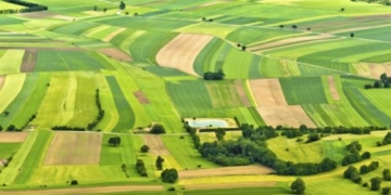 Земельна афера: житель сусідньої області отримав земельний пай на Тернопільщині