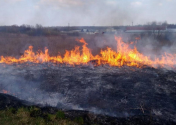 Шкода довкіллю: за добу рятувальники 33 рази залучались на гасіння пожеж сухої трави