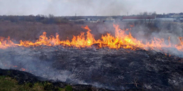 Шкода довкіллю: за добу рятувальники 33 рази залучались на гасіння пожеж сухої трави