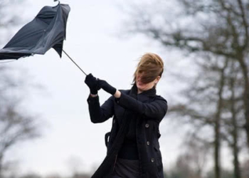 На Тернопільщині сильні вітри: синоптики повідомляють про штурмове попередження