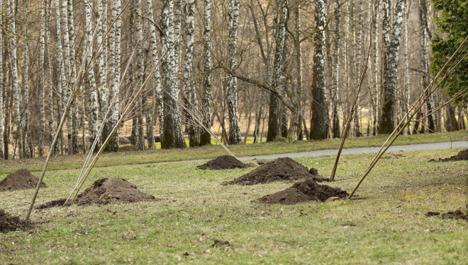 У Тернополі без вихідних дезінфікують дороги та зупинки