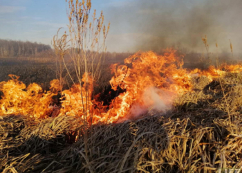 Сезон розпочато: рятувальники попереджають тернополян, що спалювати суху траву небезпечно
