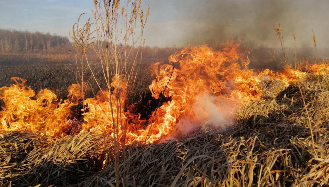 Сезон розпочато: рятувальники попереджають тернополян, що спалювати суху траву небезпечно