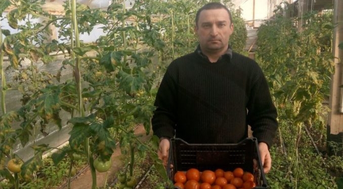 У Трибухівцях на Тернопільщині зацвіли пеларгонії і… суниця