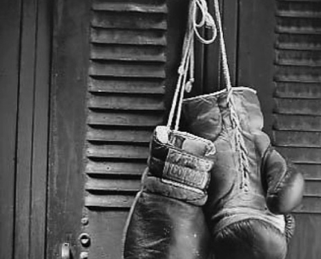 Гідна зміна підростає: тернопільські боксери привезли із змагань п’ять золотих нагород