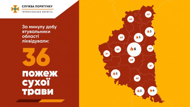 Штрафи діють: тернополян просять не спалювати листя та суху рослинність