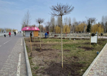 У Тернопільських парках з’являться нові насадження