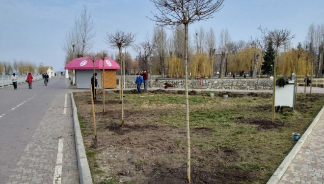 У Тернопільських парках з’являться нові насадження
