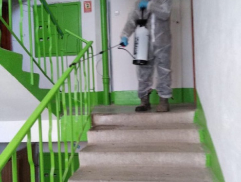 Профілактика триває: у Тернополі продовжують дезінфікувати будинки