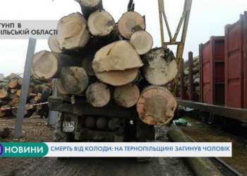 Моторошна смерть: від удару колоди на Тернопільщині загинув чоловік