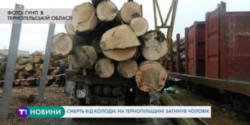 Моторошна смерть: від удару колоди на Тернопільщині загинув чоловік
