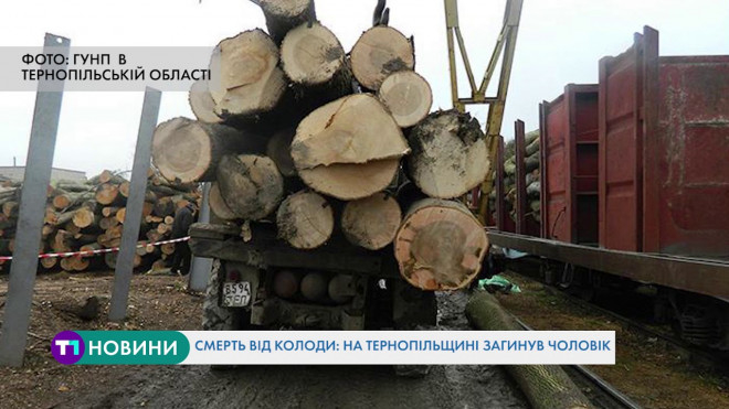 Моторошна смерть: від удару колоди на Тернопільщині загинув чоловік