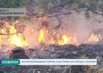 На Тернопільщині горіла суха трава на площі 4 гектари (Відео)