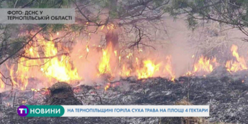 На Тернопільщині горіла суха трава на площі 4 гектари (Відео)