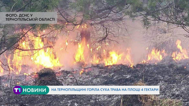 На Тернопільщині горіла суха трава на площі 4 гектари (Відео)