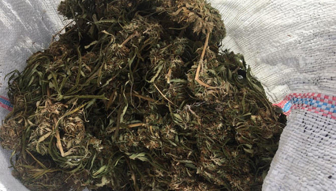 На Тернопільщині затримали чоловіка, який зберігав наркотичні речовини