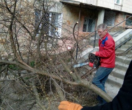 У Тернополі продовжують роботи із санітарної обрізки дерев