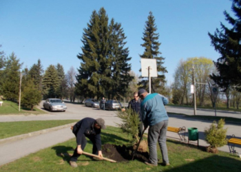 Тернопільська міська територіальна громада долучається до проєкту «Озеленення України»