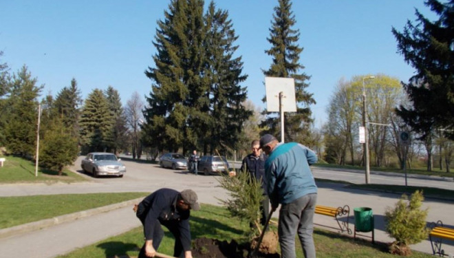 Тернопільська міська територіальна громада долучається до проєкту «Озеленення України»