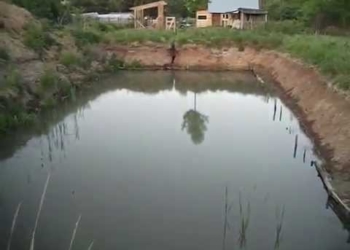 Незаконні дії: на Тернопільщині виявили чоловіка, який самовільно облаштував ставки