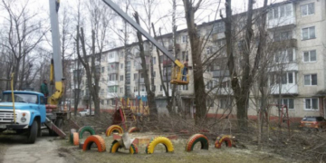 У Тернополі тривають роботи по санітарній обрізці сухих та аварійних дерев