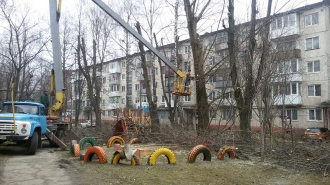 У Тернополі тривають роботи по санітарній обрізці сухих та аварійних дерев