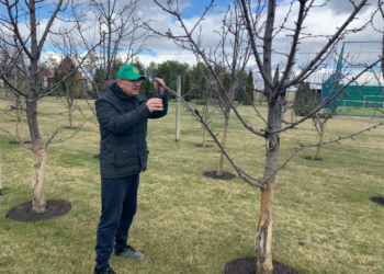 Народний депутат від Тернопільщини показав приклад та дав цінні поради щодо карантину