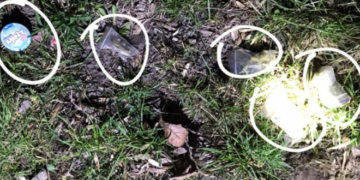 У Тернопільському парку нацгварційці затримали групу молодих людей із маріхуаною