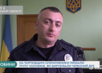 На Тернопільщині накриміналили семеро жителів Рівненської області